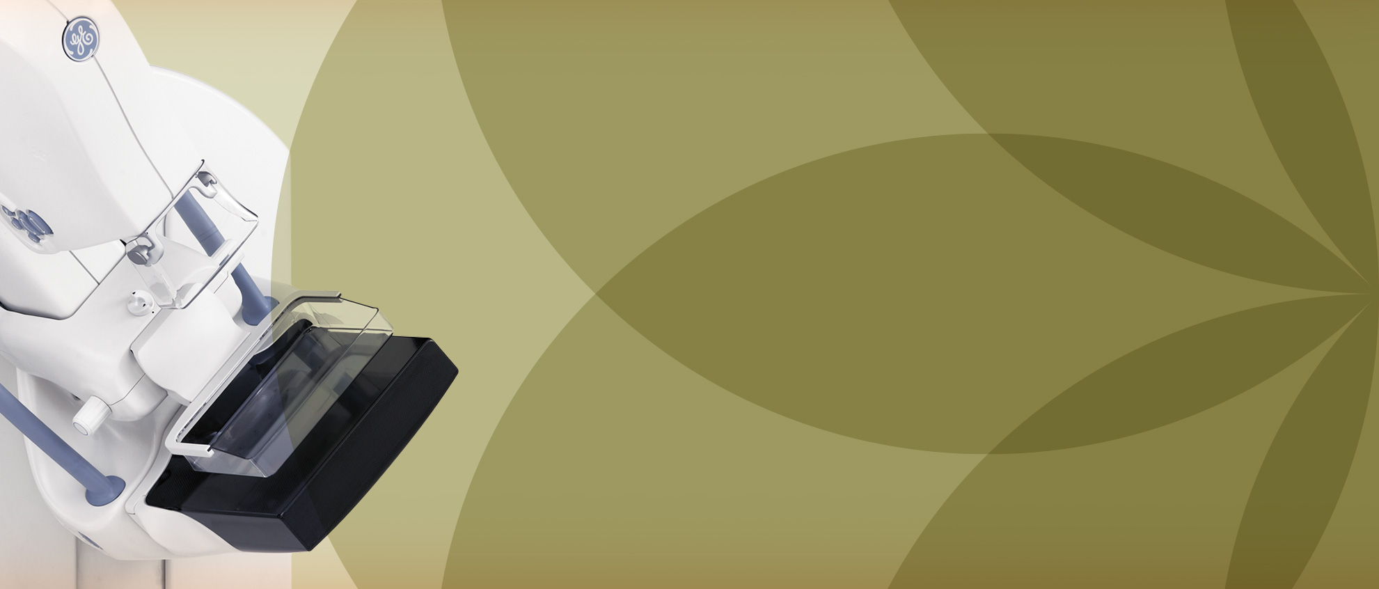 Banner 2